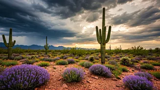 The Monsoon Glow-Up You Need To See