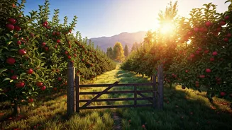 Himachal Remote Orchard Farm Stays See Unprecedented Search Traffic Growth
