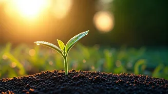 April's Dawn: Unique & Strong Baby Names Reflecting New Beginnings