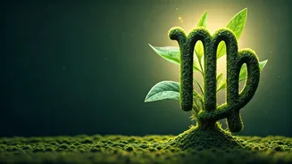 Virgo's Fortunate April 14, 2026: Career, Finance, and Love Blossoms