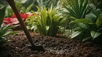 Rainy Season Is Your Garden's Best Friend