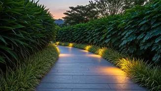 Can Walking After Dinner Improve Digestion? Here's What Experts Sa