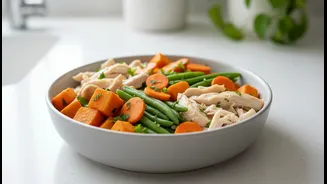 Why customised fresh dog meal preps are trending among metropolitan pet owners