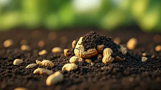 Genius Gardening Hack Uses Crushed Peanut Shells For Soil Drainage