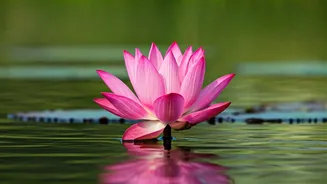 Unforgettable Travel Experiences in India