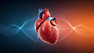 9 Expert-Backed Strategies to Drastically Cut Your Heart Attack Risk