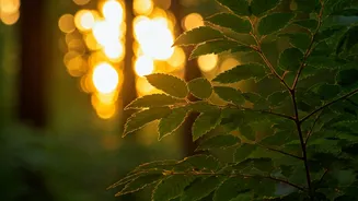 Related Stories banner