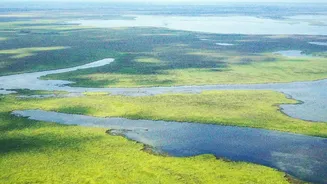 Europe's wild and diverse nature reserves
