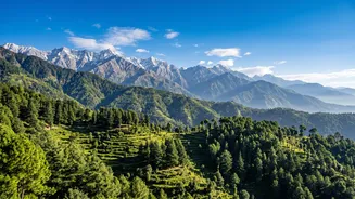 Why Kangra Valley workations in Dharamkot offer the perfect blend of remote productivity and nature adventures