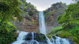 From Pune To Bengaluru, Nature Escapes Feel Fresh After Recent Rains
