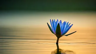 Buddha Purnima 2026: Embrace Peace with Meaningful Wishes & Quotes