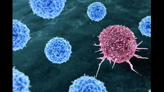 Can A Simple Test Today Change Your Cancer Story Tomorrow?