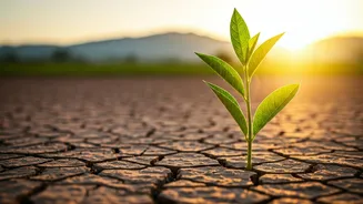 Unlocking Inner Power: Byron Katie's Wisdom on Responsibility vs. Blame