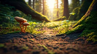 8 Earth Healers: Unsung Heroes of Ecosystems