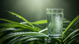 Humid Weather Calls For Better Hydration Habits