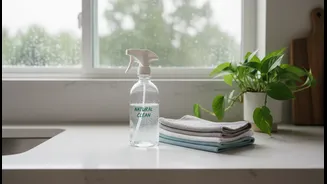 Rainy-Season Home Cleaning Gets Smarter With Low-Chemical Everyday Solutions