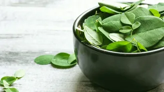Why moringa leaves are a must-have in your diet