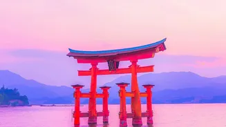 From Shibuya to Nara: Where to Go for a Calmer Japan Trip