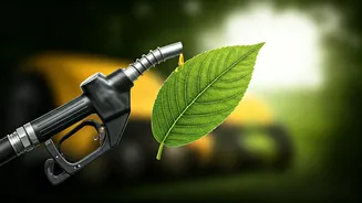 India's Biofuel Push Moves From Petrol To Diesel