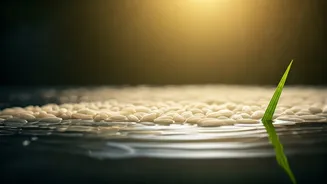 Simple, Natural And Viral: Rice Water Wins