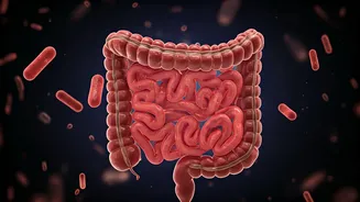 Happy Gut: 10 Foods Gastroenterologists Advise