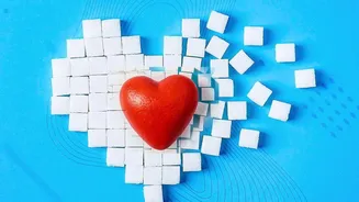 The Research Is Observational And Does Not Prove Cause And Effect Shows Why The Findings Add To Evidence Connecting Highly Processed Diets With Car...