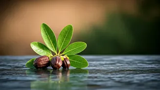 Jojoba Oil Is Quietly Changing Haircare