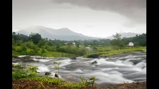 Best Monsoon Destinations in India for Nature Lovers