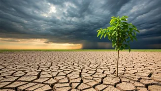 The Monsoon Shift That's Changing Crop Choices
