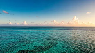 Maldives Azure Water Vlogs Dominate Social Media Travel Feeds