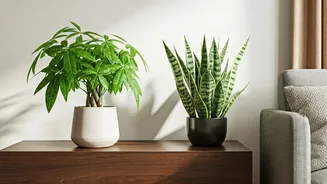 Cultivate Prosperity: Feng Shui Plants for Abundance and Harmony