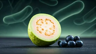 Related Stories banner