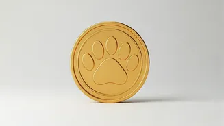 Why Indian Pet Care Spending Crossed Billion Dollar Milestone