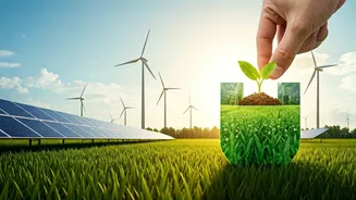 Why First-Time Investors Are Rushing to Green Energy Mutual Funds