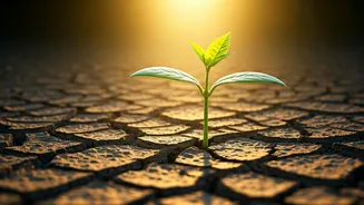 Ken Wilber's Insight: How Practice Transforms Intentions and Fuels Lifelong Growth