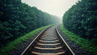 Train Tickets Sell Out For Misty Chikmagalur Pre Monsoon