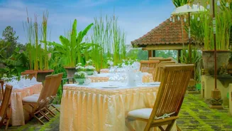 Host a Garden Tea Party without Overcomplicating the Details while Shading Guests Properly