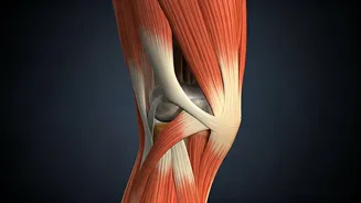 Focus On Mobility and Injury Prevention With Functional Longevity Fitness