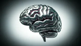 Boosting Brain Health: 6 Habits for Sharper Memory