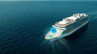 Viral Hotspots at Sea: Understanding Cruise Ship Outbreaks from Hantavirus to COVID-19