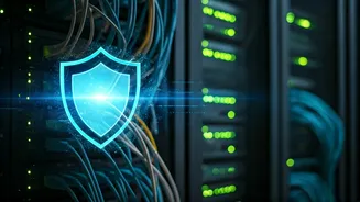Understanding Website Security Checks: A Look Behind the Scenes