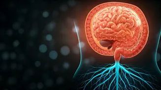 Unveiling the Hidden Link: Gut Health and Mental Wellness