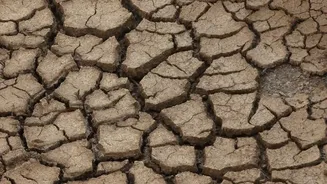 Pakistan's IRSA Approves A 22% Water-Shortage Estimate For Punjab And Sindh
