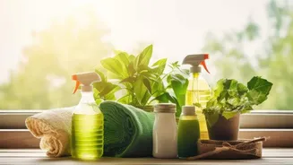 How to make eco-friendly cleaning easy