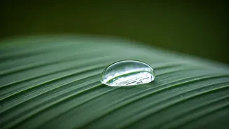 Breathwork Is The Recovery Habit To Save