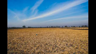 El Niño Impacts India’s Water Supply and Winter Crops