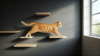Give Your Indoor Cat Wall Mounted Shelves For Ultimate Fun
