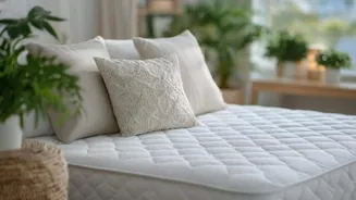 Memory foam mattresses: Comfort or myth?