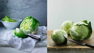 Cabbage v/s lettuce: Which is better for you?
