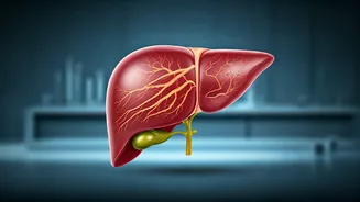 World Liver Day: Unmasking Early Liver Failure Symptoms Before It's Too Late